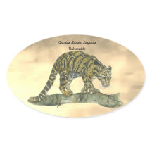 Hand-painted Endangered Clouded Leopard