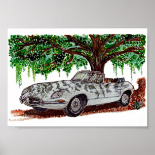Hand Painted Jaguar E-Type Convertible Watercolor Poster