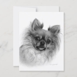 Hand Painted Long-Haired Chihuahua Oil Portrait Postcard