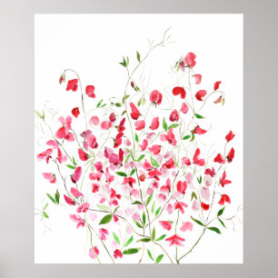 hand painted pink magenta sweet peas 2024 poster