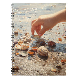 Hand Picking Seashells Beach Notebook