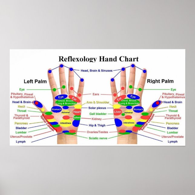 Hand Reflexology  22x12" Poster (Front)