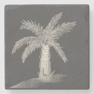 Hand sketched bottle palm tree with fronds stone coaster