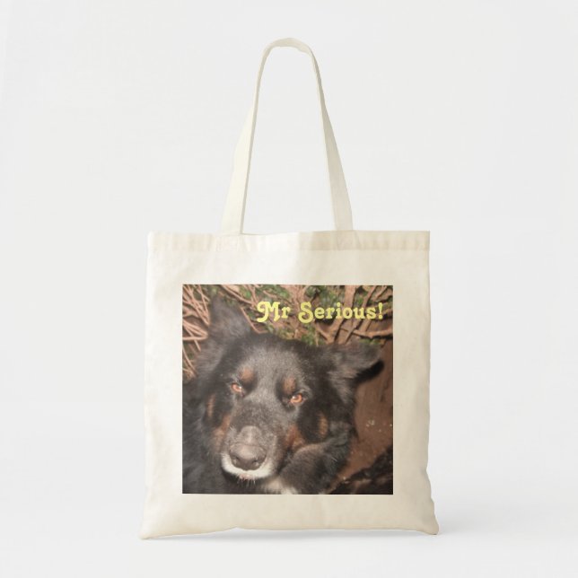 Handbag Husky Collie Cross (Front)