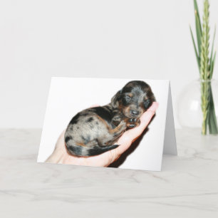 Handful Card