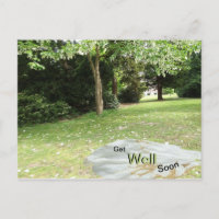 Handkerchief Tree Get Well Soon Postcard