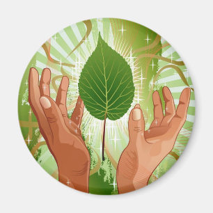 Handle With Care Magnet