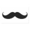 Handlebar Moustache / Moustache