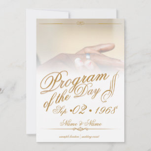 Hands of a coloured wedding couple pin on ring gol