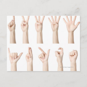 Hands showing Chinese way of counting Postcard