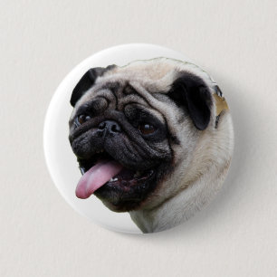 Handsom white Pug photo accessories, add names 2 Inch Round Button