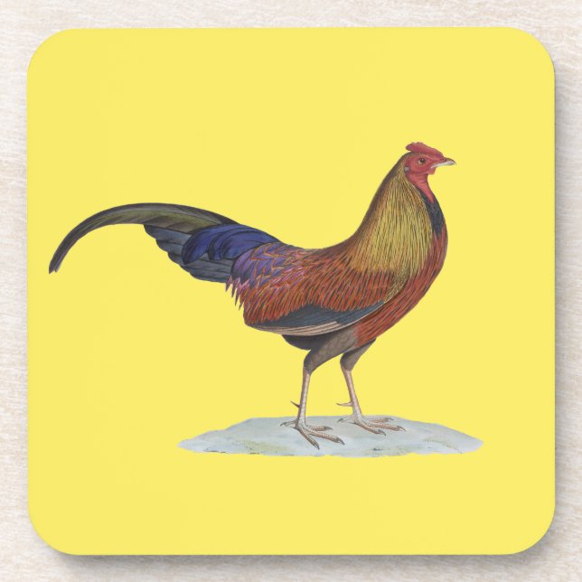 Handsome Alert Rooster Coaster (Front)