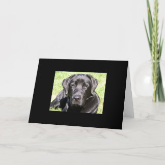 Handsome Black Lab Card