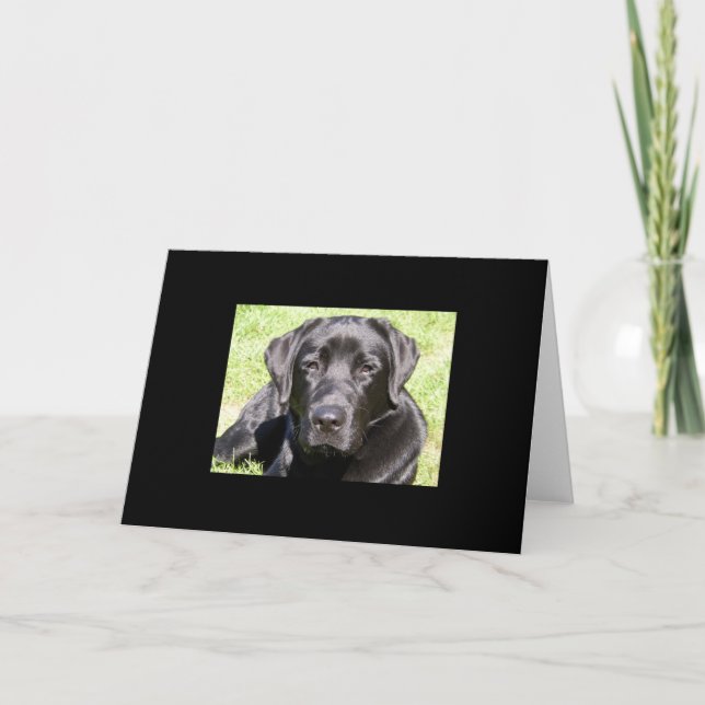 Handsome Black Lab Card (Front)