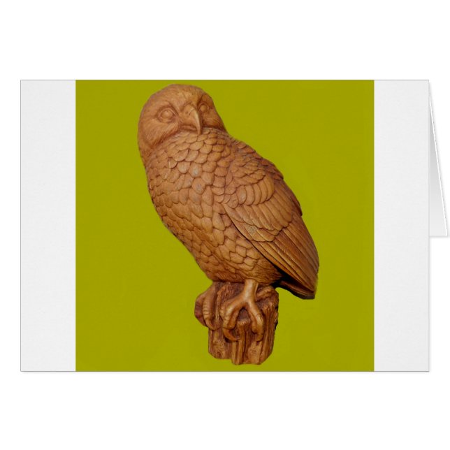 handsome brown owl (Front Horizontal)