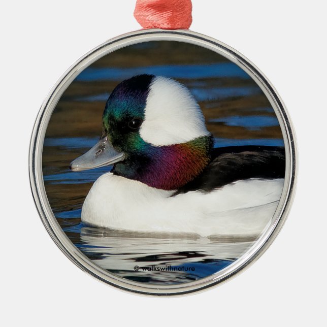 Handsome Bufflehead Duck at the Winter Pond Metal Ornament (Front)