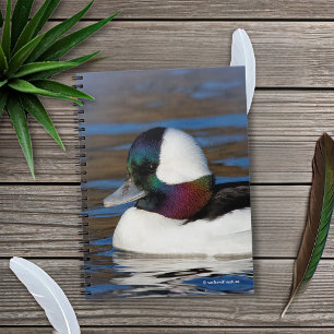 Handsome Bufflehead Duck at the Winter Pond Notebook