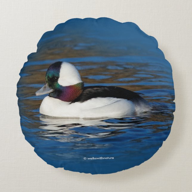 Handsome Bufflehead Duck at the Winter Pond Round Pillow (Front)