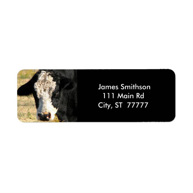 Handsome Bull (Front)