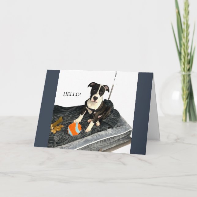 Handsome Bulldog Greeting Card (Front)