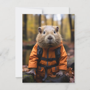 Handsome Capybara Postcard