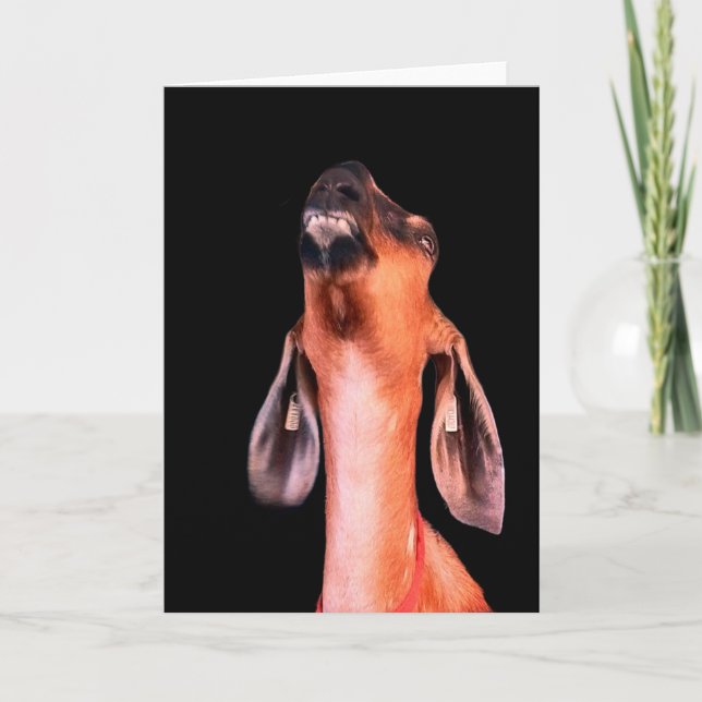 Handsome Card (Front)