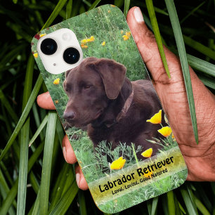 Handsome Chocolate Lab Do in Poppy Patch Case-Mate iPhone 14 Case