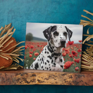 Handsome Dalmation Dog In The Poppy Field, Plaque