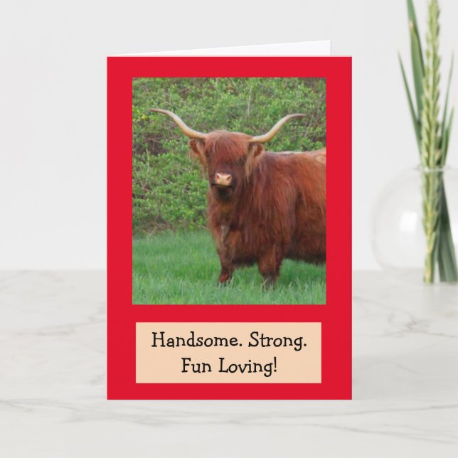 Handsome Funny Highland Steer Birthday Card (Front)