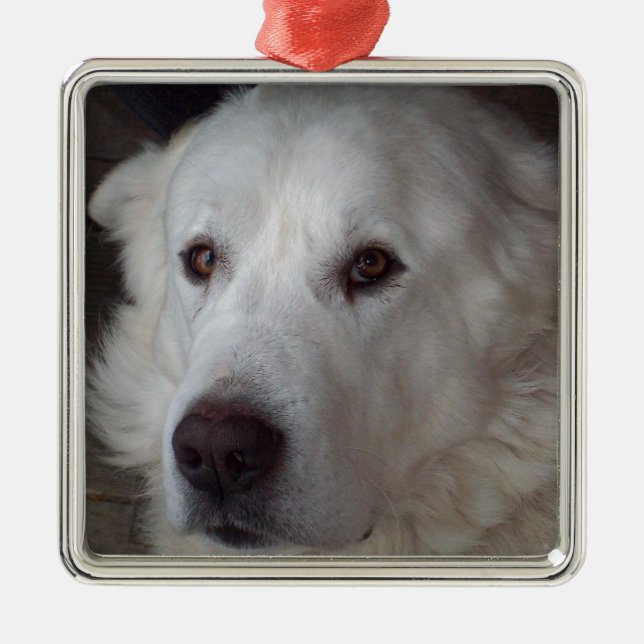 Handsome Great Pyrenees Dog Metal Ornament (Front)