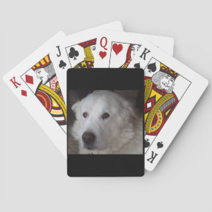 Handsome Great Pyrenees Dog Playing Cards