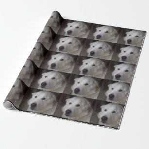 Handsome Great Pyrenees Dog Wrapping Paper