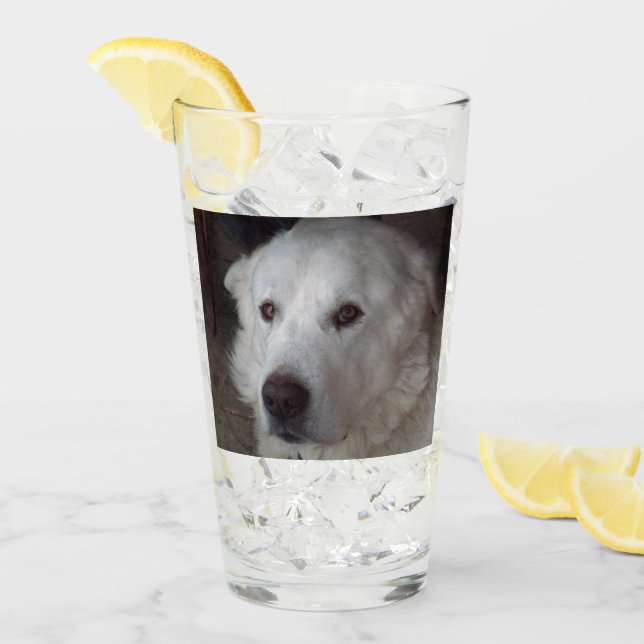 Handsome Great Pyrenees Glass (Front Ice)
