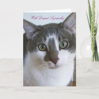 Handsome Grey and White Cat - Pet Sympathy Card