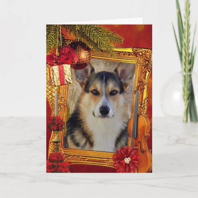 Handsome Holiday Welsh Corgi with Frame (Front)