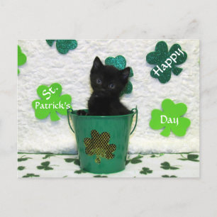 Handsome Jack's St. Patrick's Day Cat / Kitten  Postcard