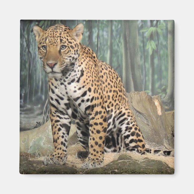 Handsome Jaguar Magnet (Front)