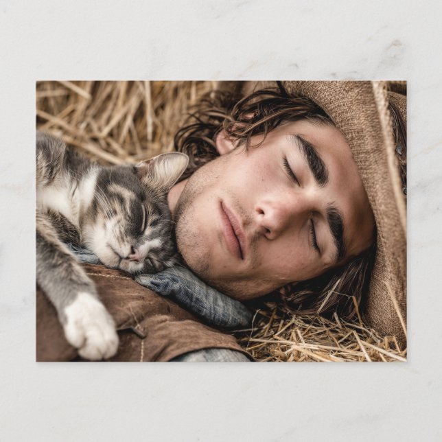 Handsome Men & Cats Art Postcard (Front)