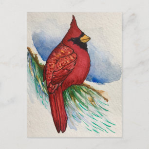 Handsome Northern Cardinal Red Bird Postcard