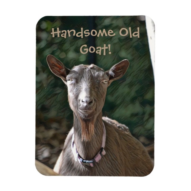 Handsome Old Goat Magnet (Vertical)