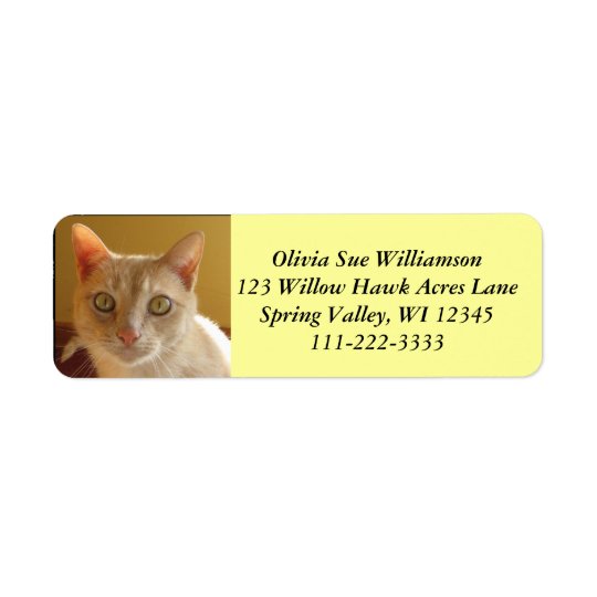 Handsome orange cat #2 return address label