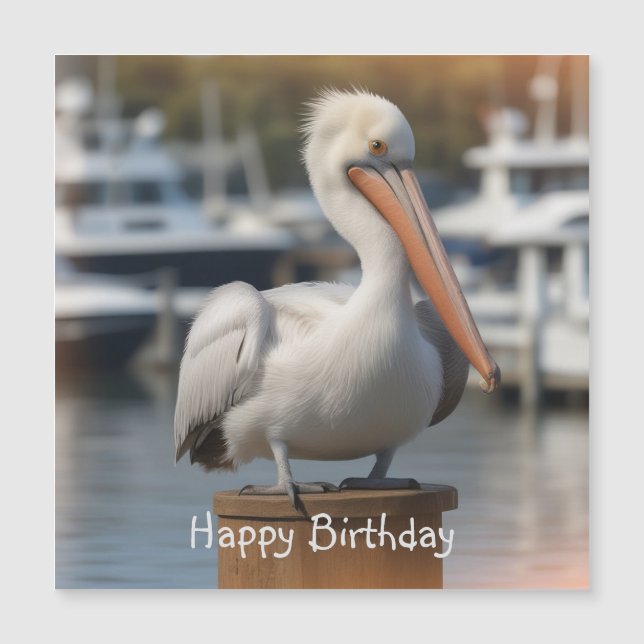 Handsome Pelican Birthday Magnetic Card (Front)