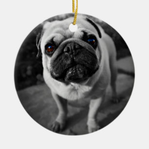Handsome Pug Ceramic Ornament