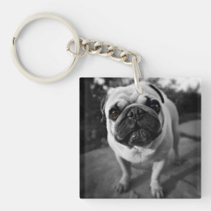 Handsome Pug Keychain