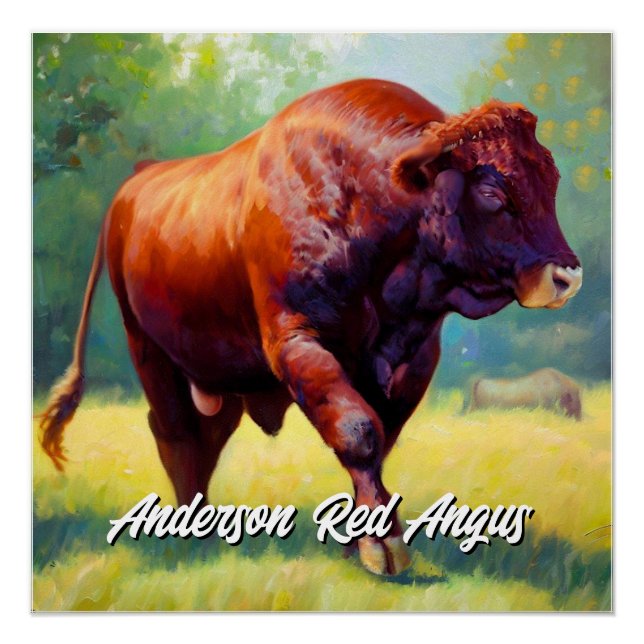 Handsome Red Angus Bull Poster (Front)