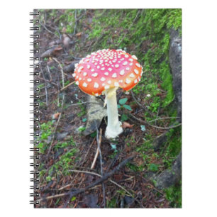handsome red with white speckles fly agaric photo notebook
