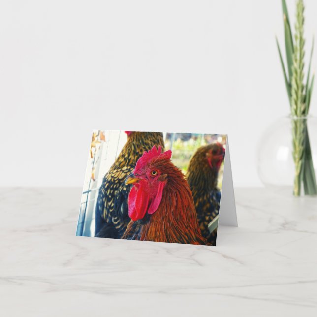 Handsome Rooster Card (Front)