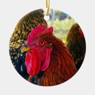 Handsome Rooster Ceramic Ornament