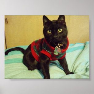 Handsome Seimei Poster Print