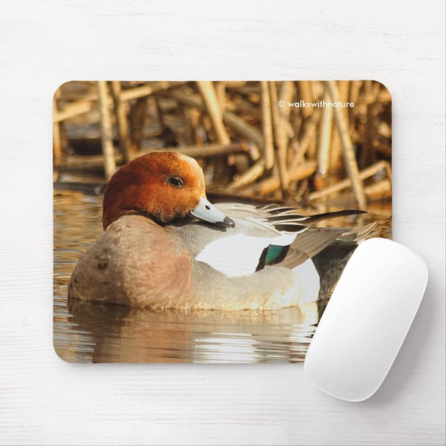 Handsome Stranger Eurasian Wigeon Duck at the Pond Mouse Pad (With Mouse)